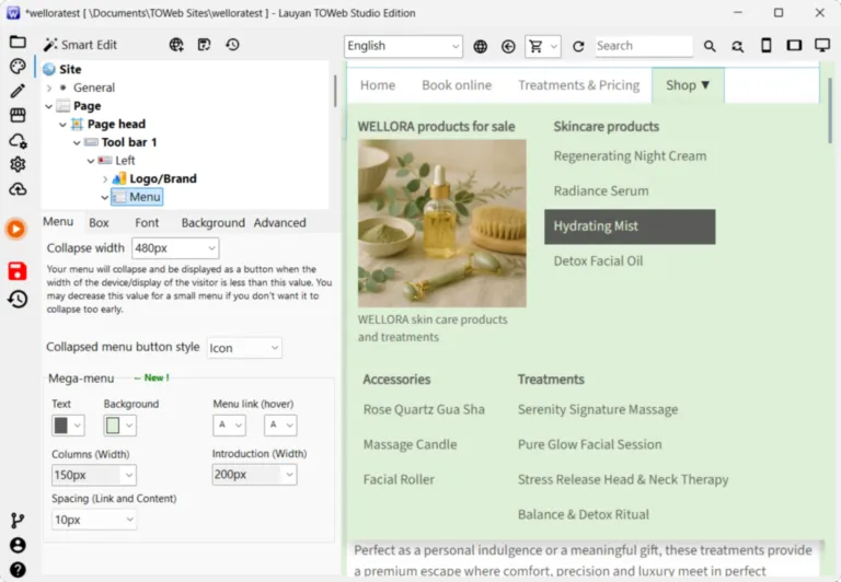 customizing mega-menu styles in TOWeb
