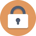 icon security