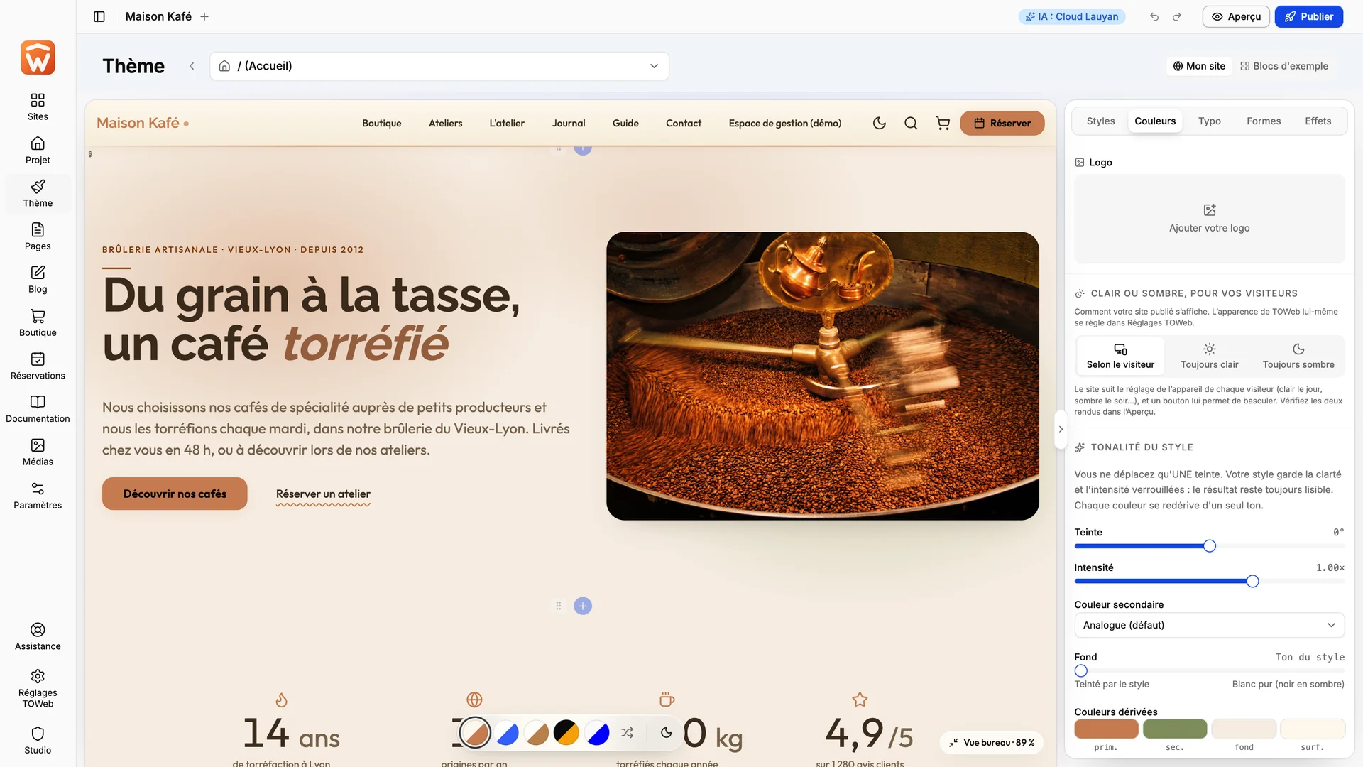 Le réglage de la teinte et de l’intensité des couleurs dans TOWeb 15.