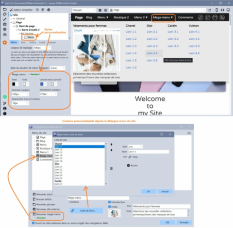 Gestion des Mega menus dans TOWeb